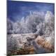 Premium Photographic Print
