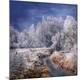 Premium Photographic Print