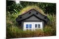 Premium Photographic Print