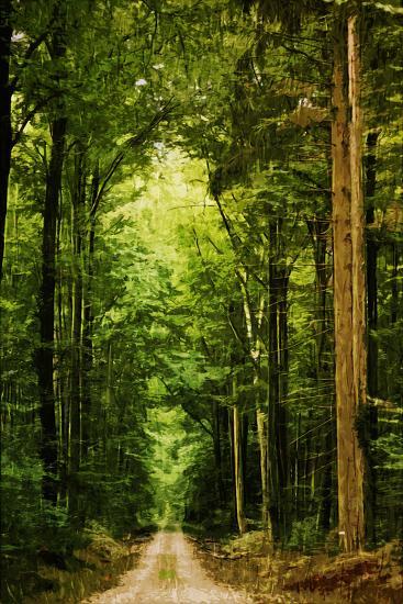 Photographic Print, , large