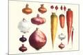 Premium Giclee Print