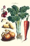 Vilmorin-Andrieux Seed Catalog-Philippe-Victoire Leveque de Vilmorin-Art Print