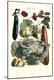 Premium Giclee Print