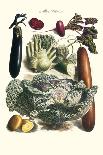 Vegetables; Eggplant, Beans, Cabbage, Turnips-Philippe-Victoire Leveque de Vilmorin-Art Print