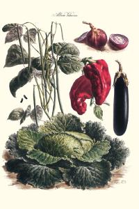 Philippe Victoire Leveque De Vilmorin Art Prints Paintings Posters Wall Art Art Com