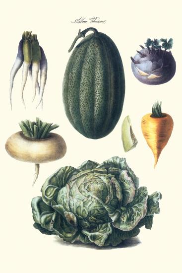 Art Print, , large
