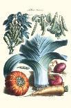 Vegetables; Peas, Pods, Onions, Leeks, and a Gourd-Philippe-Victoire Leveque de Vilmorin-Art Print