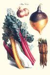Vegetables; Eggplant, Beans, Cabbage, Turnips-Philippe-Victoire Leveque de Vilmorin-Art Print