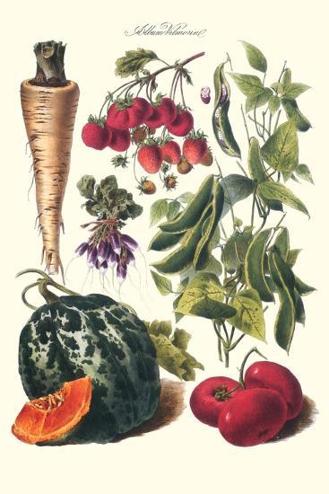 Art Print, , large