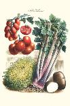 Vegetables; Corn, Cabbage, Beet, Onion, and Beans-Philippe-Victoire Leveque de Vilmorin-Framed Art Print