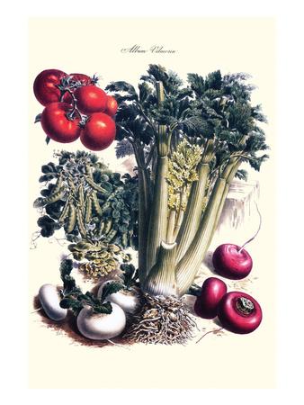 Philippe Victoire Leveque De Vilmorin Art Prints Paintings Posters Wall Art Art Com