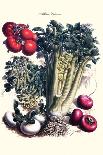 Vegetables; Corn, Cabbage, Beet, Onion, and Beans-Philippe-Victoire Leveque de Vilmorin-Art Print
