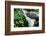 Philippine Eagle, Davao, Mindanao, Philippines-Michael Runkel-Framed Photographic Print