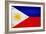 Philippines Flag Design with Wood Patterning - Flags of the World Series-Philippe Hugonnard-Framed Art Print