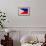 Philippines Flag Design with Wood Patterning - Flags of the World Series-Philippe Hugonnard-Framed Art Print displayed on a wall