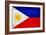 Philippines Flag Design with Wood Patterning - Flags of the World Series-Philippe Hugonnard-Framed Art Print