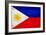 Philippines Flag Design with Wood Patterning - Flags of the World Series-Philippe Hugonnard-Framed Art Print