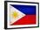 Philippines Flag Design with Wood Patterning - Flags of the World Series-Philippe Hugonnard-Framed Art Print