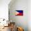 Philippines Flag Design with Wood Patterning - Flags of the World Series-Philippe Hugonnard-Framed Stretched Canvas displayed on a wall