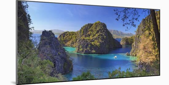 Philippines, Palawan, Coron Island, Kayangan Lake, Elevated View from One of the Limestone Cliffs-Michele Falzone-Mounted Photographic Print