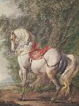 Man on a Horse with a Woman and Child (Oil on Panel)-Philips Wouwermans Or Wouwerman-Giclee Print