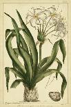 Chambray Botanical I-Phillip Miller-Framed Art Print