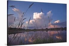 Motif with Buoys-Phillip Mueller-Framed Art Print