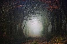 broceliande castle in winter morning-Phillipe Manguin-Photographic Print