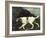 Phillis, a Pointer of Lord Clermont's, 1772-George Stubbs-Framed Giclee Print