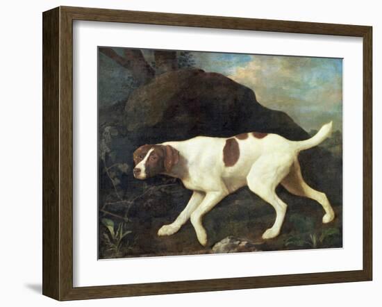 Phillis, a Pointer of Lord Clermont's, 1772-George Stubbs-Framed Giclee Print