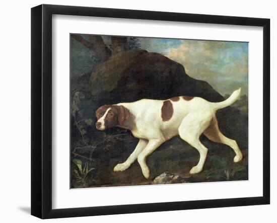 Phillis, a Pointer of Lord Clermont's, 1772-George Stubbs-Framed Giclee Print