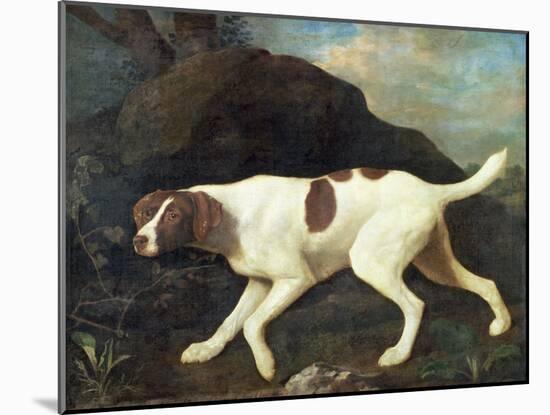 Phillis, a Pointer of Lord Clermont's, 1772-George Stubbs-Mounted Giclee Print