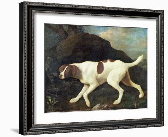 Phillis, a Pointer of Lord Clermont's, 1772-George Stubbs-Framed Giclee Print