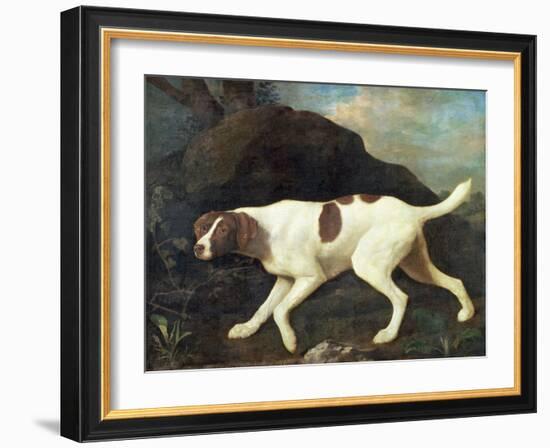 Phillis, a Pointer of Lord Clermont's, 1772-George Stubbs-Framed Giclee Print