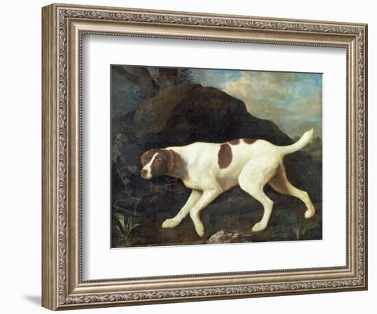 Phillis, a Pointer of Lord Clermont's, 1772-George Stubbs-Framed Giclee Print