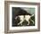 Phillis, a Pointer of Lord Clermont's, 1772-George Stubbs-Framed Giclee Print