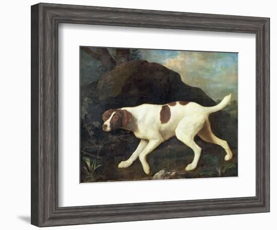 Phillis, a Pointer of Lord Clermont's, 1772-George Stubbs-Framed Giclee Print