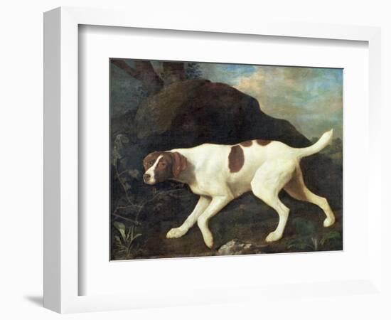 Phillis, a Pointer of Lord Clermont's, 1772-George Stubbs-Framed Giclee Print