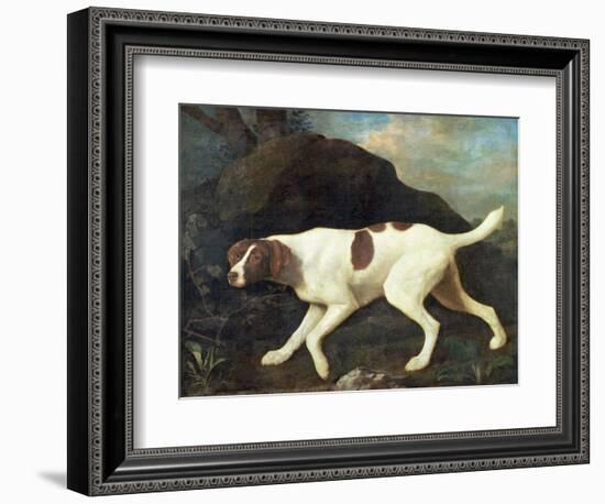 Phillis, a Pointer of Lord Clermont's, 1772-George Stubbs-Framed Giclee Print