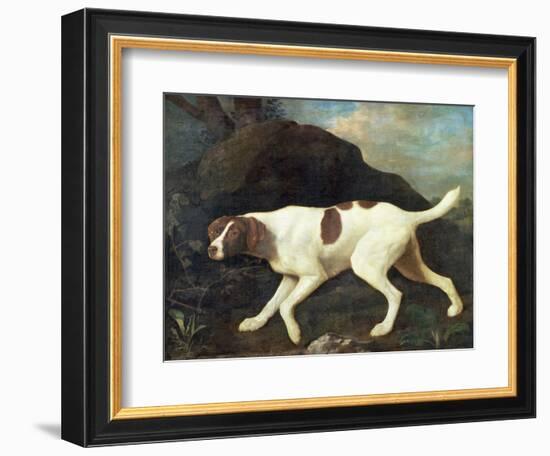 Phillis, a Pointer of Lord Clermont's, 1772-George Stubbs-Framed Giclee Print