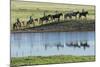 Philmont Cavalcade Ride Along Pond with Reflection, Cimarron, New Mexico-Maresa Pryor-Mounted Photographic Print