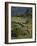 Philmont Cavalcades Ride Horses Through the Rugged Mountain Wilderness, Cimarron, New Mexico-Maresa Pryor-Framed Photographic Print