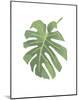 Philodendron 1-Jenny Kraft-Mounted Art Print