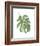 Philodendron 2-Jenny Kraft-Framed Art Print