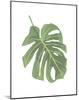 Philodendron 2-Jenny Kraft-Mounted Art Print