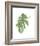 Philodendron 3-Jenny Kraft-Framed Art Print