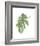 Philodendron 3-Jenny Kraft-Framed Art Print