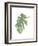 Philodendron 3-Jenny Kraft-Framed Art Print