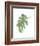 Philodendron 3-Jenny Kraft-Framed Art Print