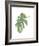 Philodendron 3-Jenny Kraft-Framed Art Print